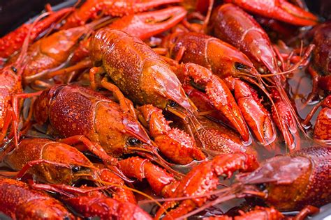 Spicy Crayfish Stir-Fry? This Fiery Feast Will Have You Dancing with Flavor and Dripping with Delight!